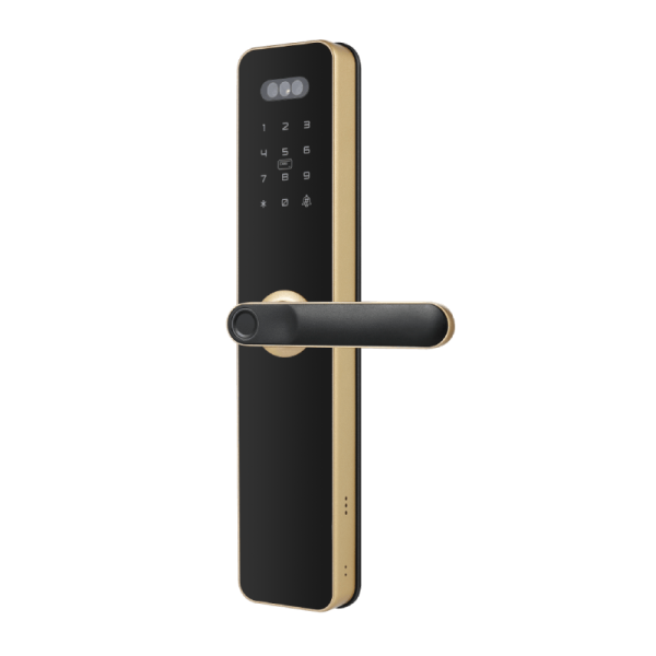 Premium Fingerprint Digital Door Lock C200FMT