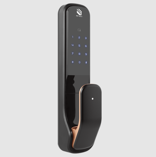Digital Entry Door Locks