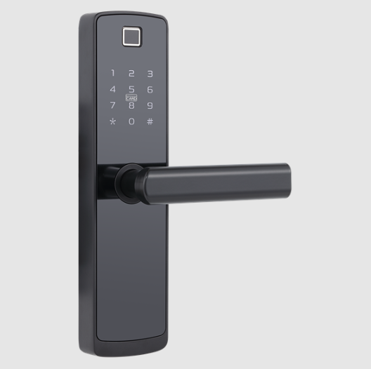 Digital Front Door Locks