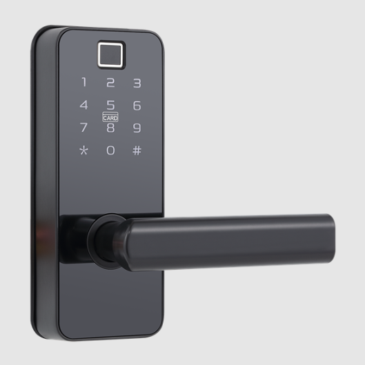 Home Smart Locks